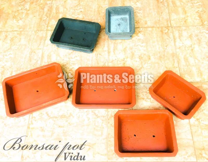 Bonsai Pots 