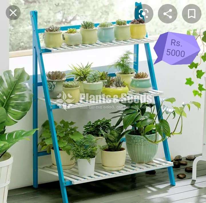 Plant Racks