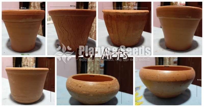 Clay Pots