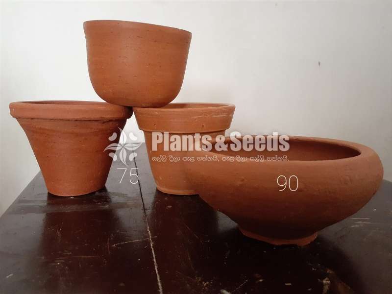 Clay Pots