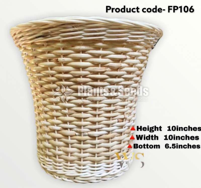 Cane Plant Pots (Cane & Palm)