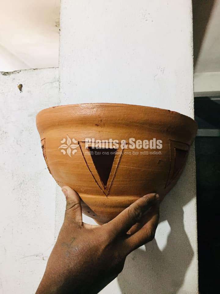 Clay Hanging pot