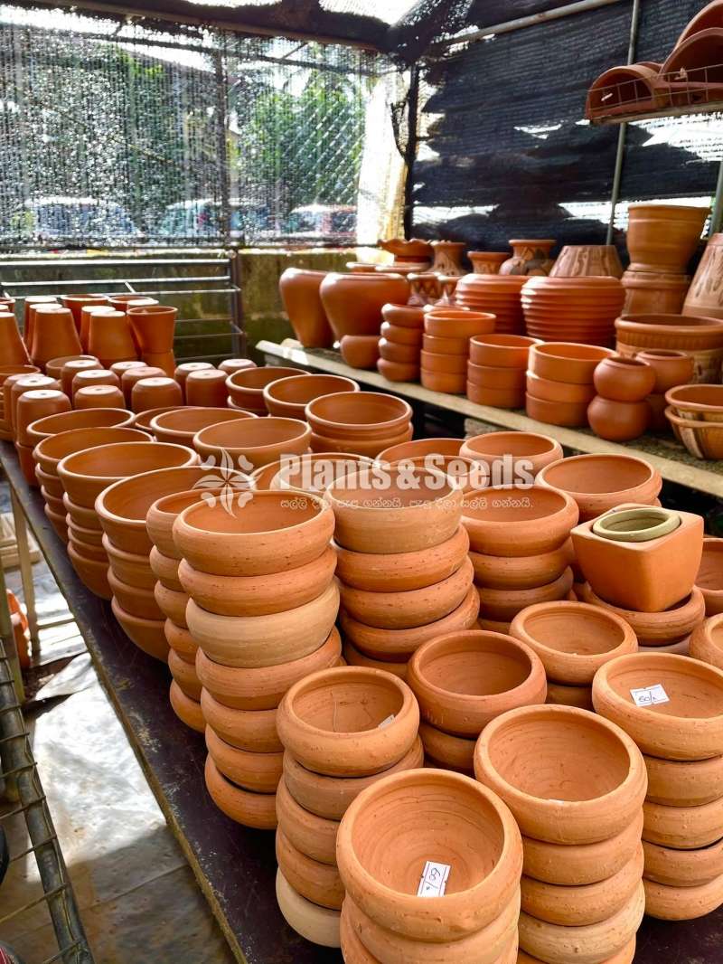 Clay pots for Bonsai