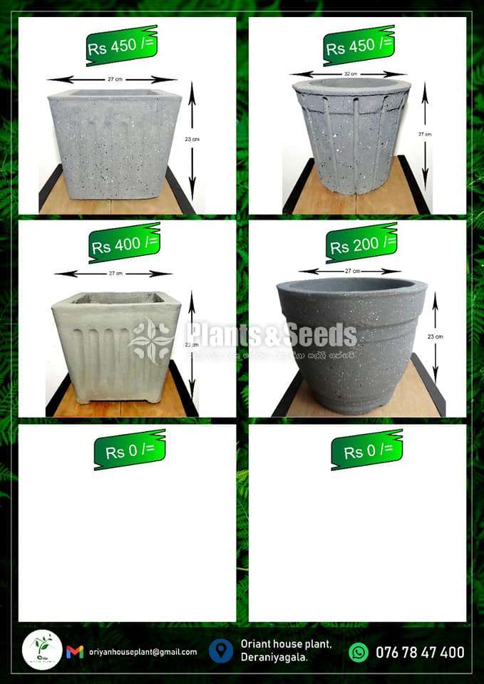 Cement Pots 