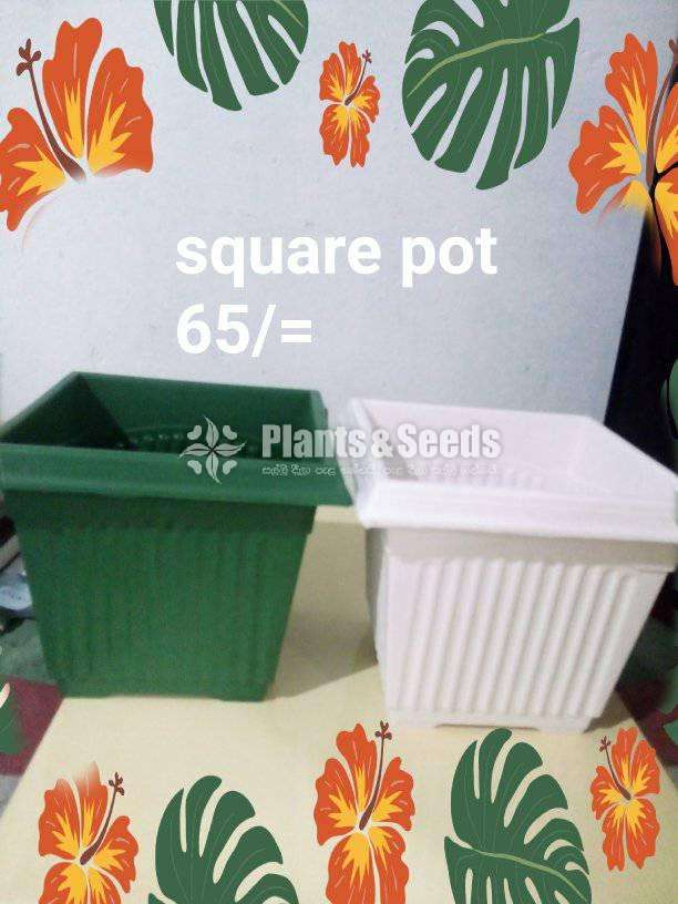 Plastic flower pots