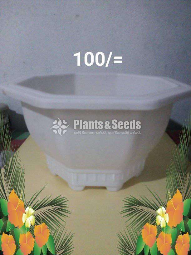 Plastic flower pots