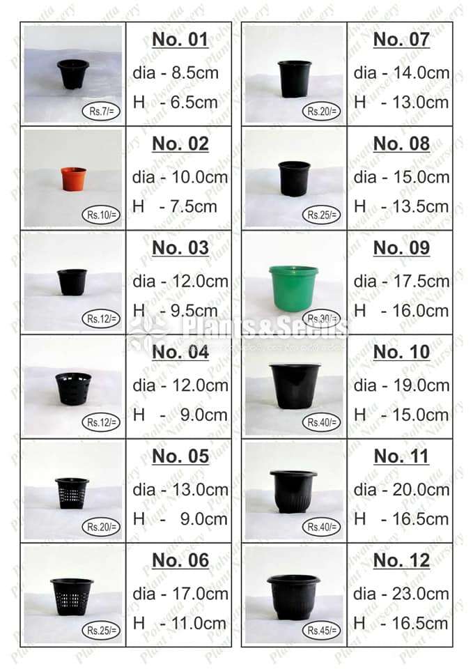 Plastic Pots for  Whole Sale and Retail