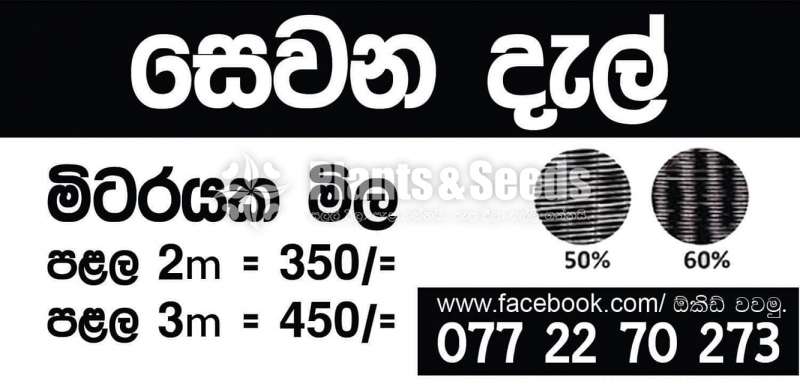 Sewana Dal (මිරිස් වගාව සදහා ඉතාම සුදුසු)