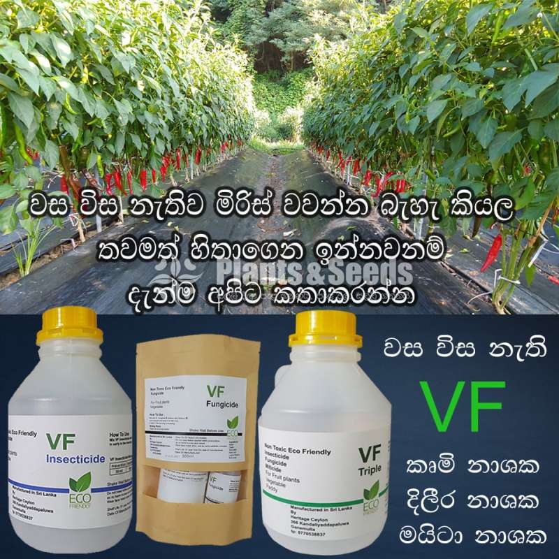  VF Triple Insecticide, Miticide, Fungicide 