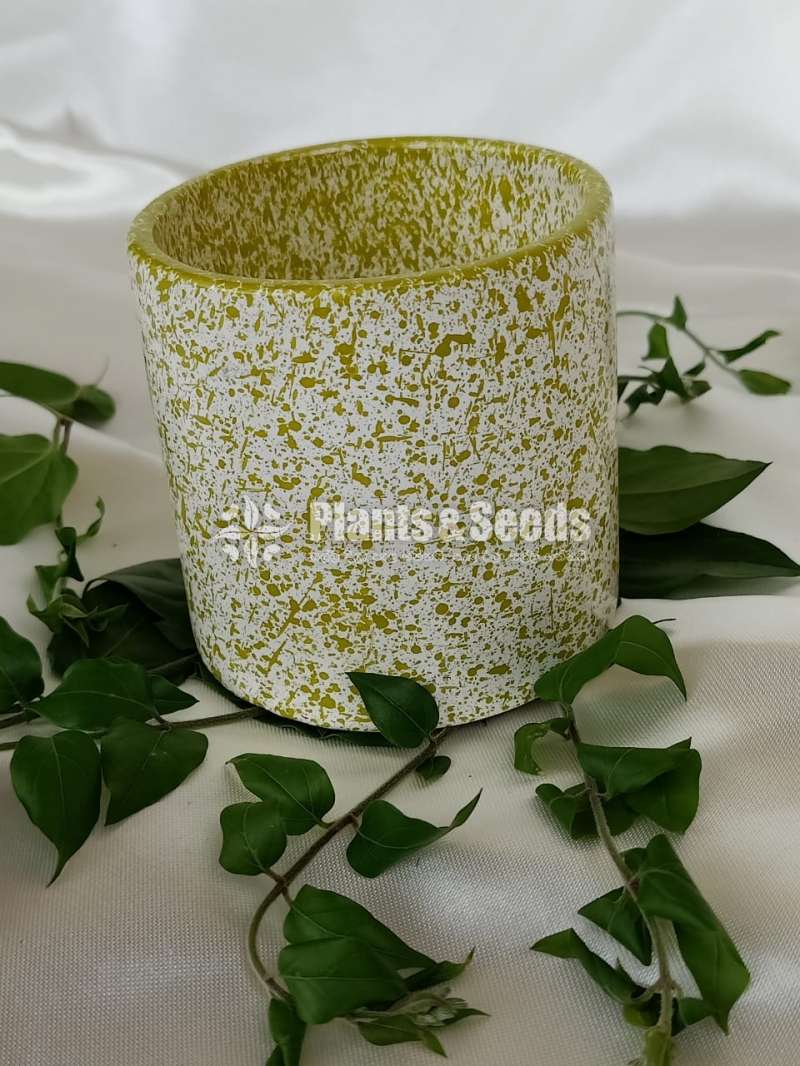 Painted Ceramic pot 