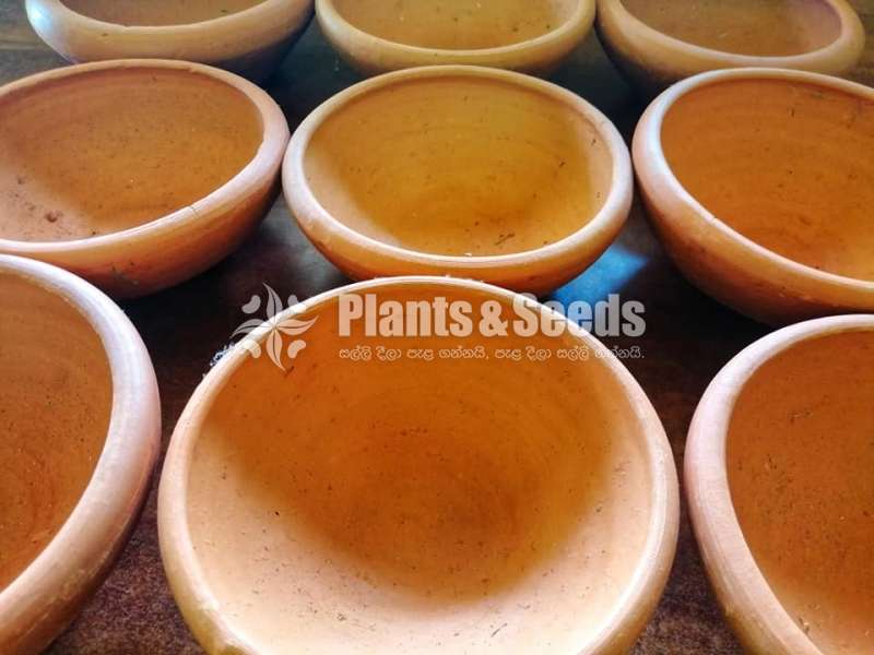 Clay flat pots