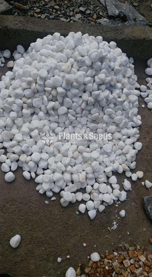 White pebbles stones