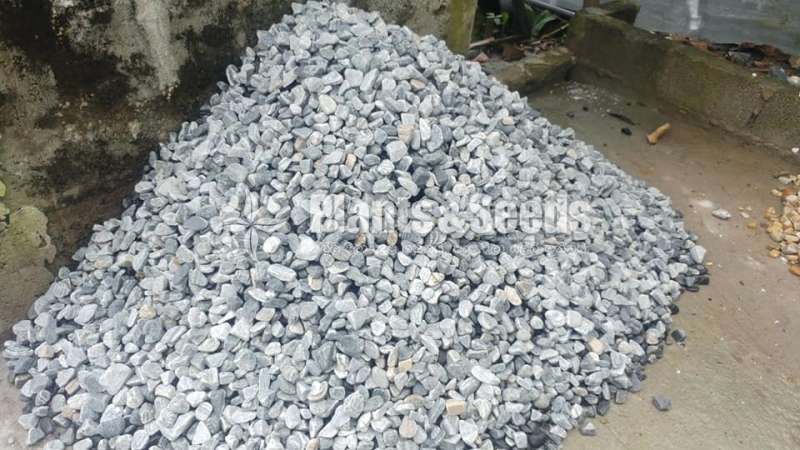 Pebbles for garden and plants