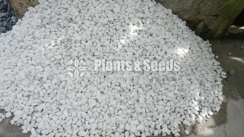 Pebbles for garden and plants