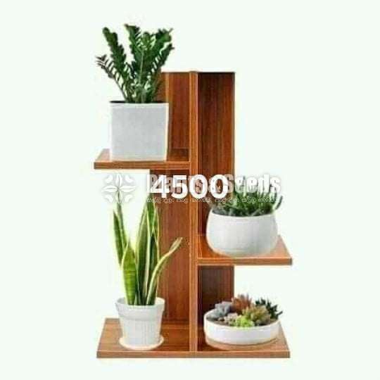 Wooden plant racks