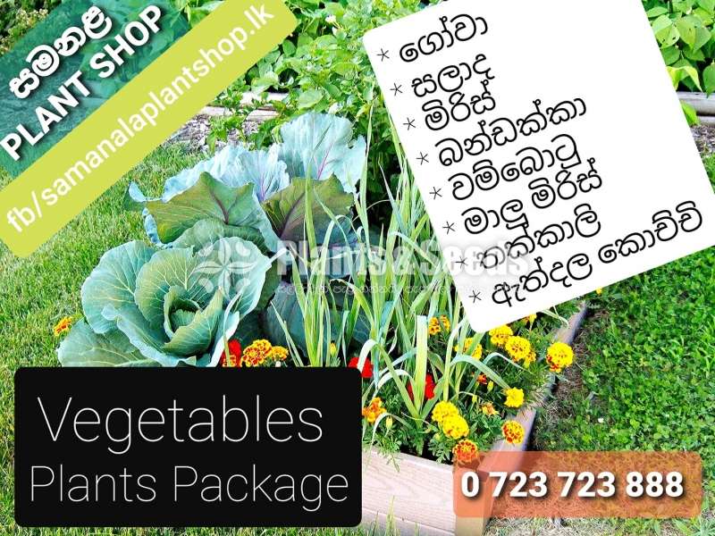 Vegetables plants