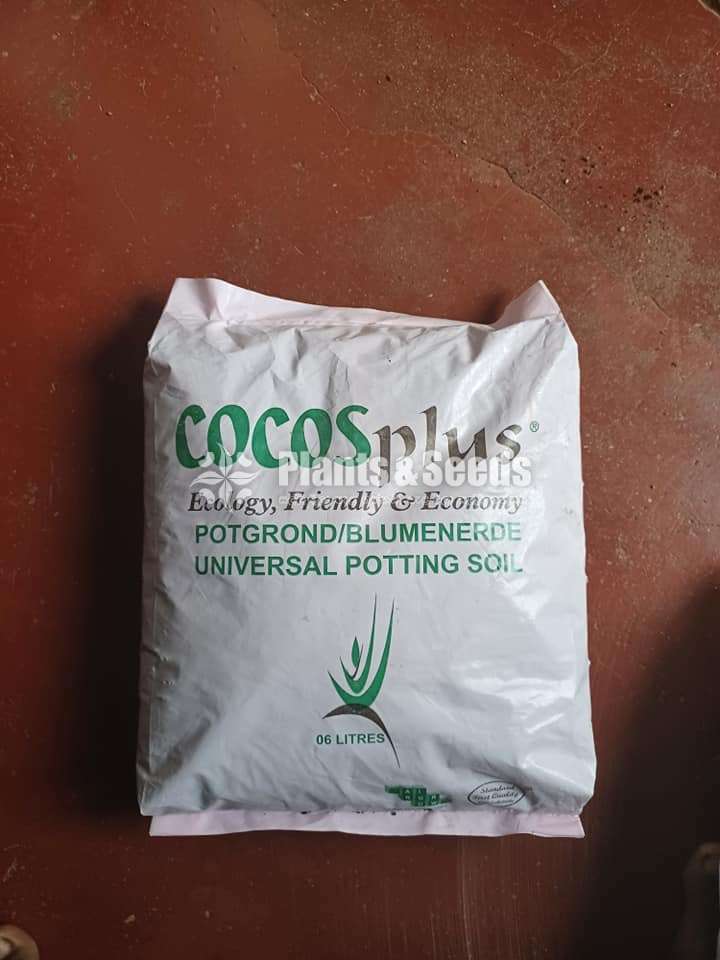 Original cocoplus 