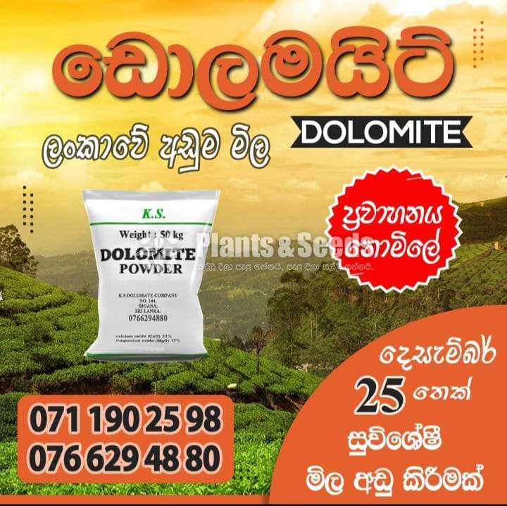 Dolomite (ඩොලමයිට් )