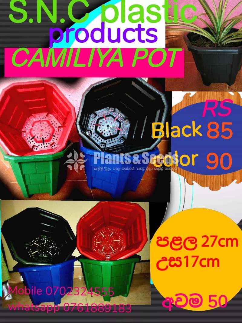 Camilia Pots (Plastic Pots)