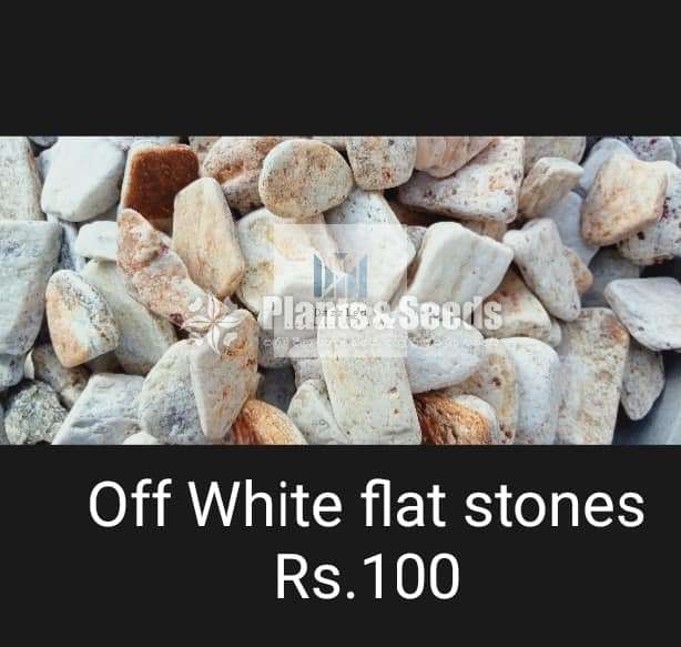 Fancy stones