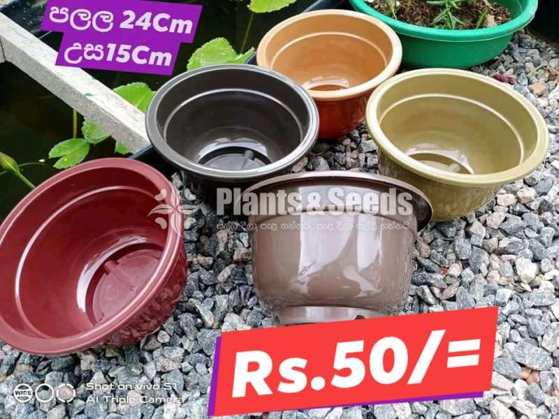 Plastic Pots for Whole sale 