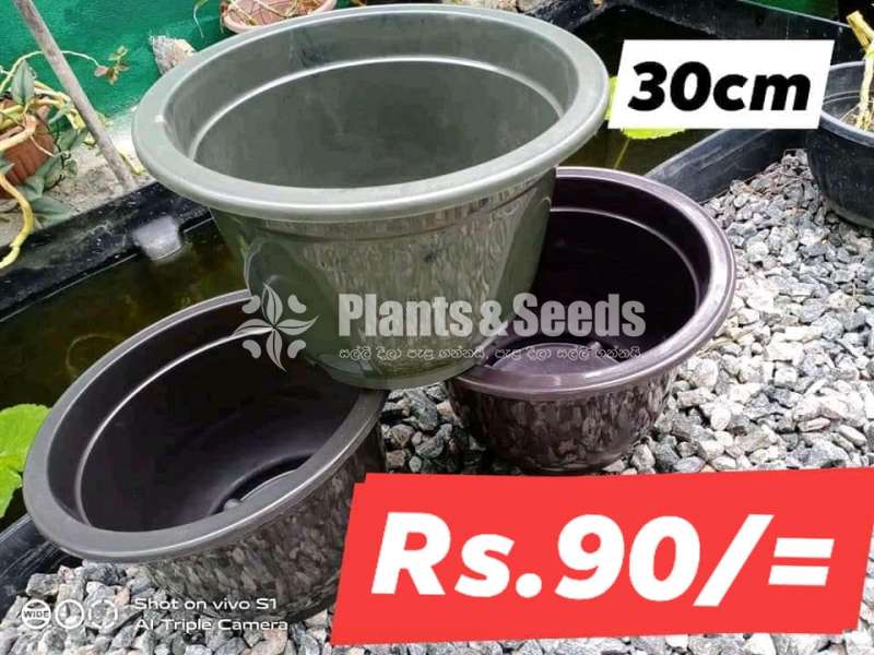 Plastic Pots for Whole sale 