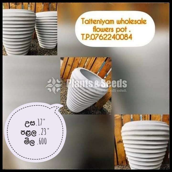 Titanium pots for sale 