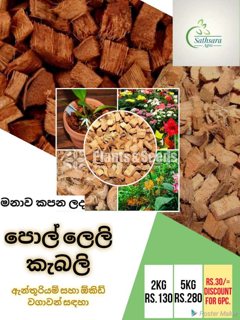 Coco husk chips  (පොල් ලෙලි කැබලි )