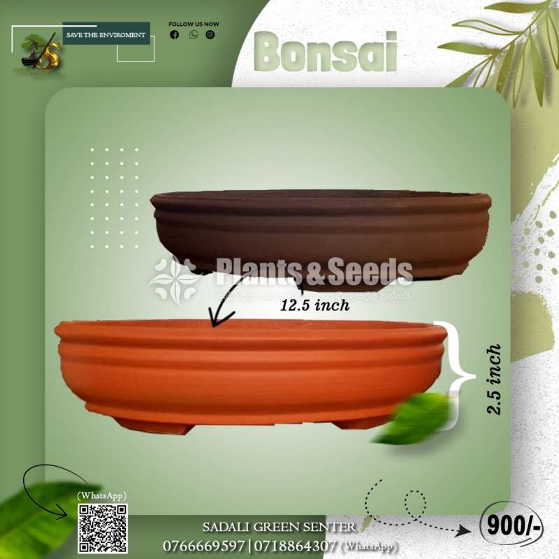 Handmade Bonsai Pots 