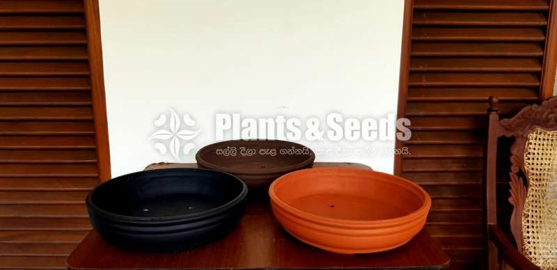 Handmade Bonsai Pots 