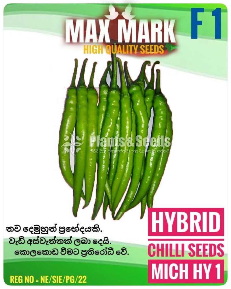 Mich hy1 Miris Seeds 