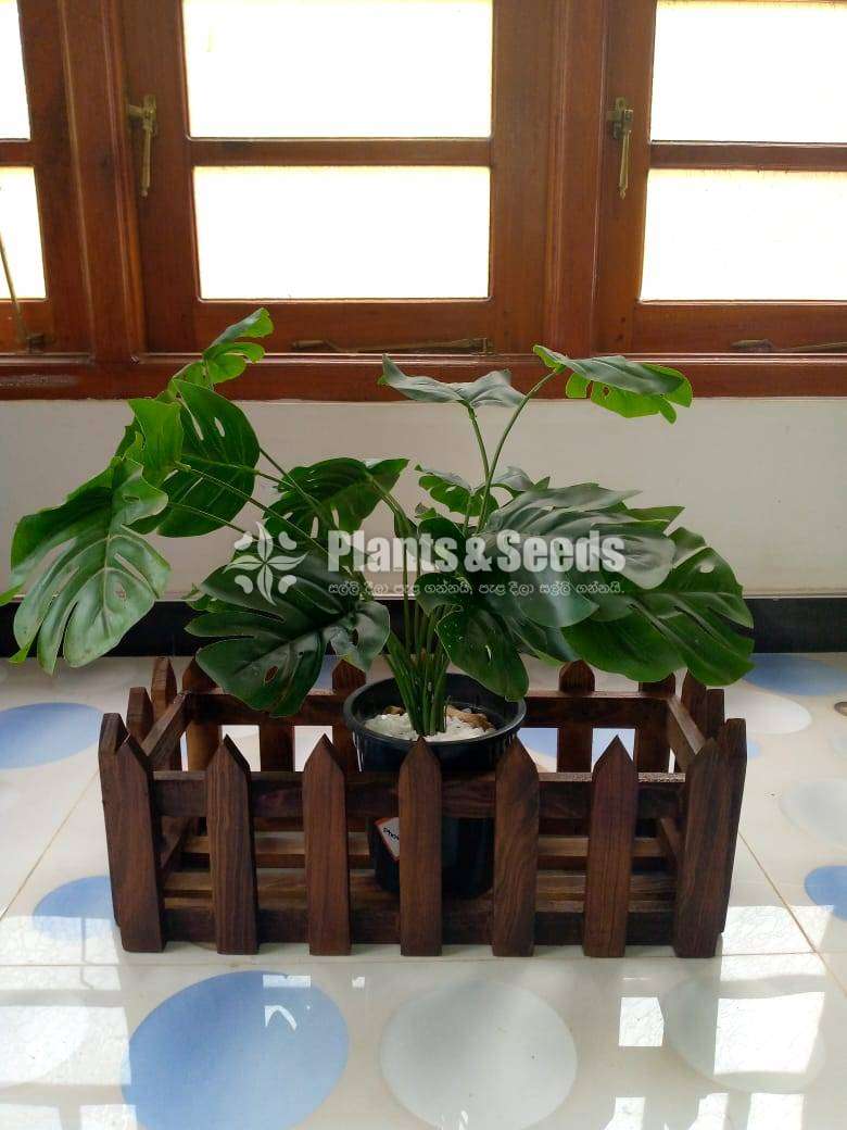 Wooden Planter Boxes 