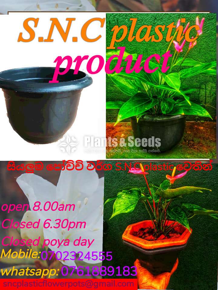 Plastic Pots 