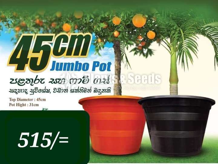 Jumbo Pots