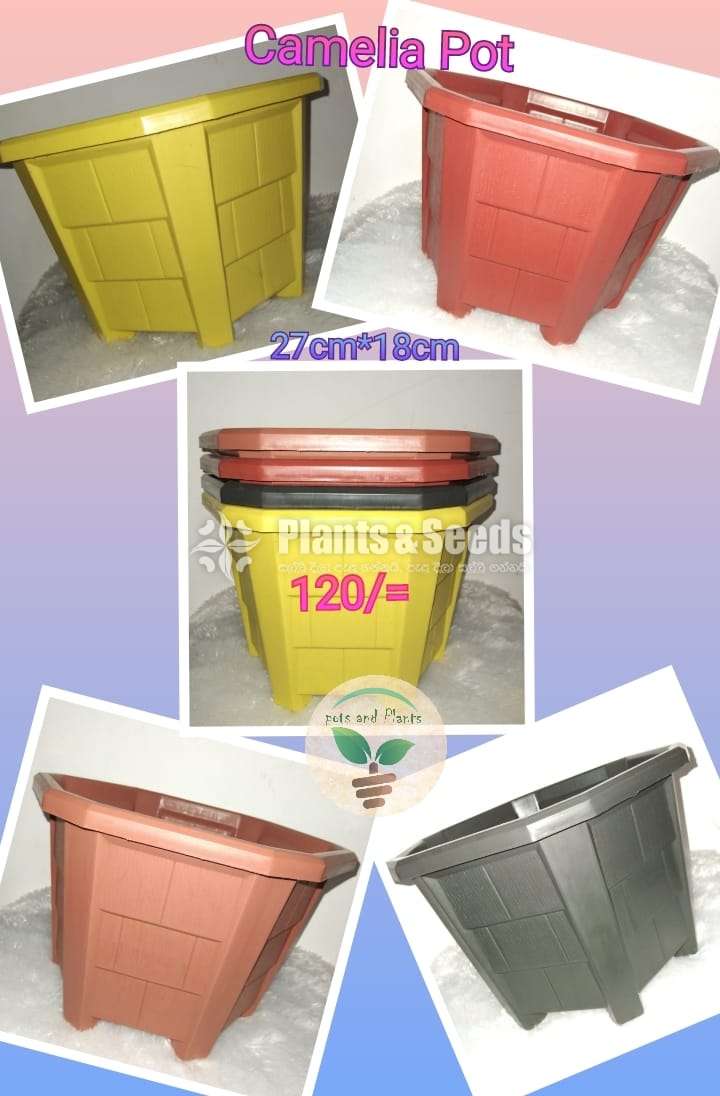 Decorative Plastic Pots