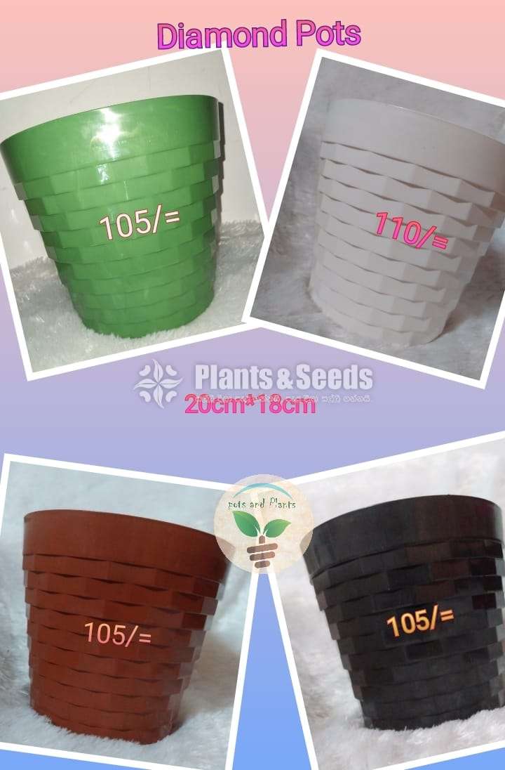 Decorative Plastic Pots