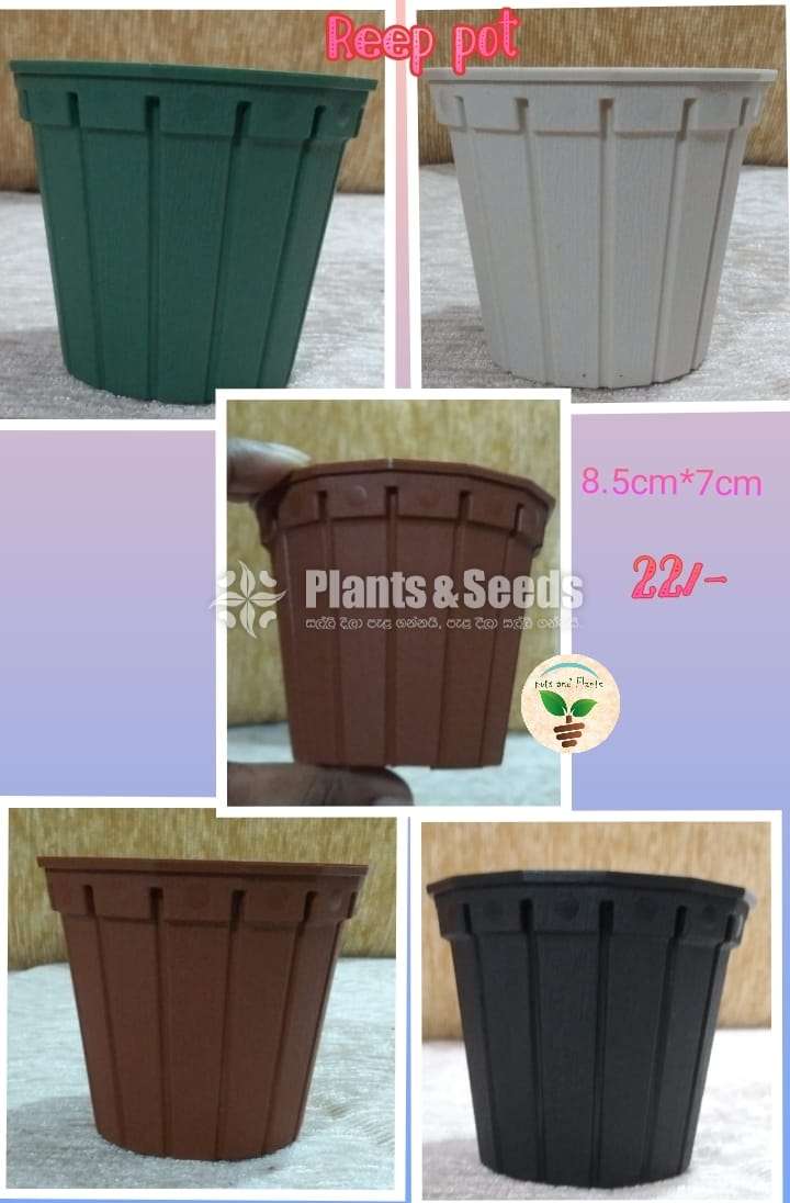 Decorative Plastic Pots