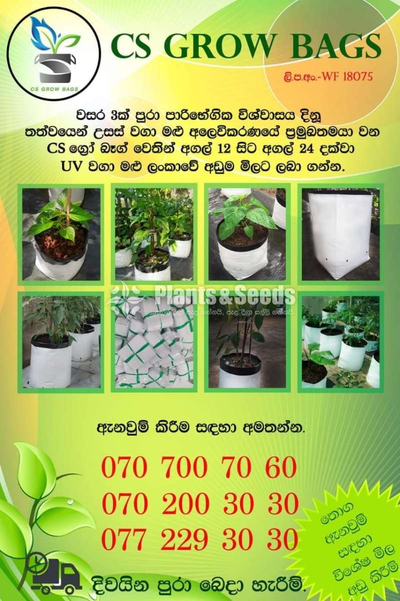 Grow Bags 