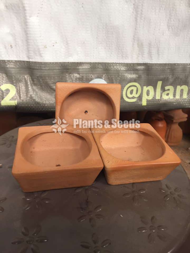  Clay pots