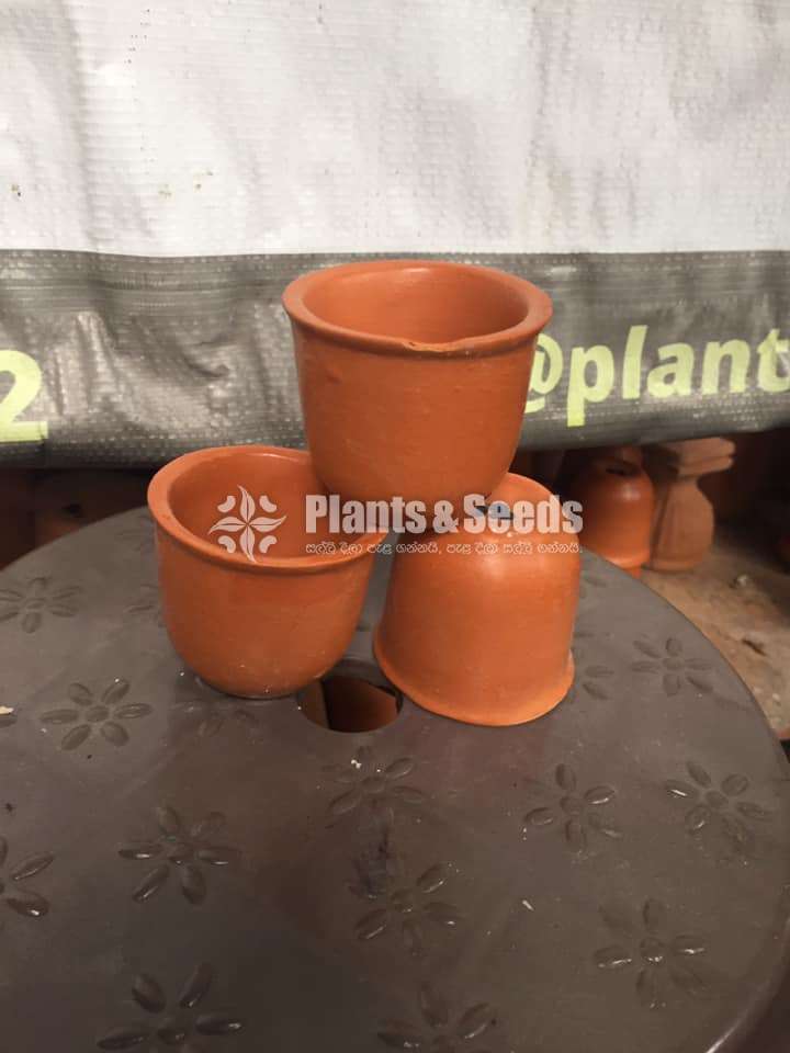  Clay pots