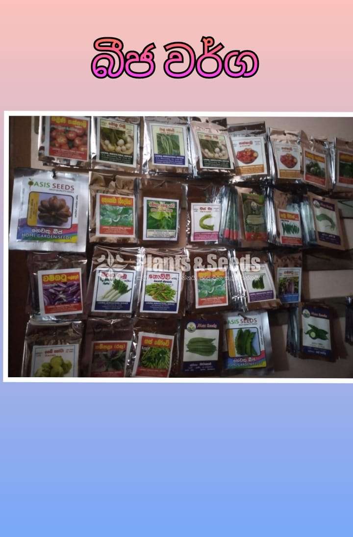 Vegetables Seeds