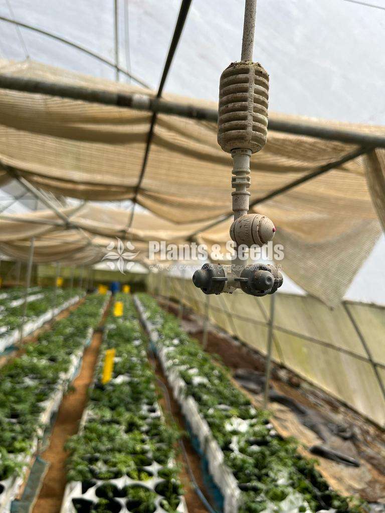 Spray Fogger Mister Nozzles මීදුමකාරක