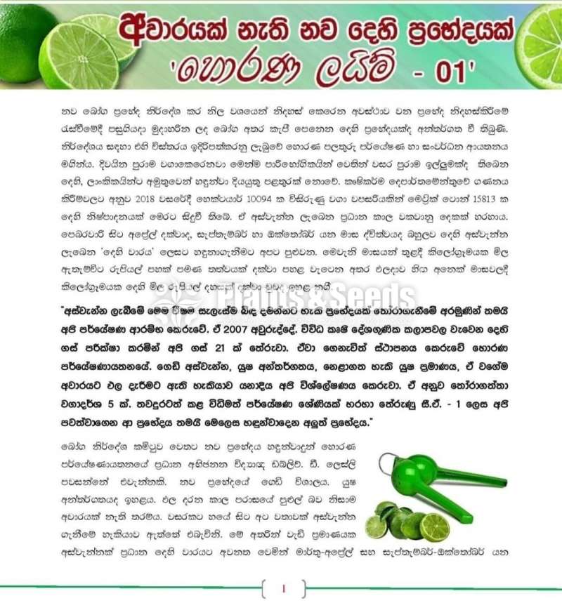 Horana Lime (හොරණ ලයිම් 01)