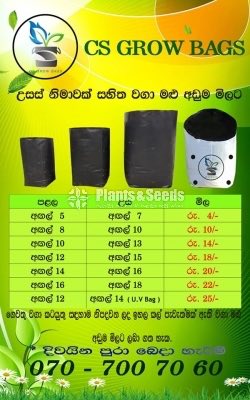 Grow Bags (වගා මලු )