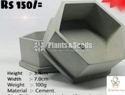 Cement Pots 