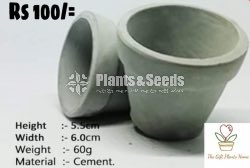 Cement Pots 