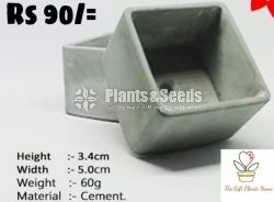 Cement Pots 