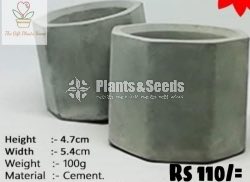 Cement Pots 