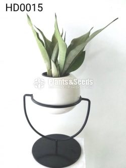 Decorative Pots and Stands