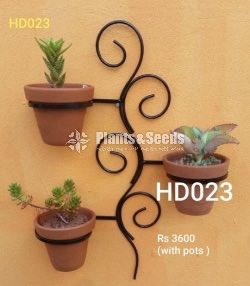 Decorative Pots and Stands